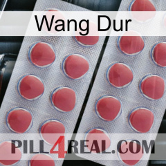 Hard Wang 19